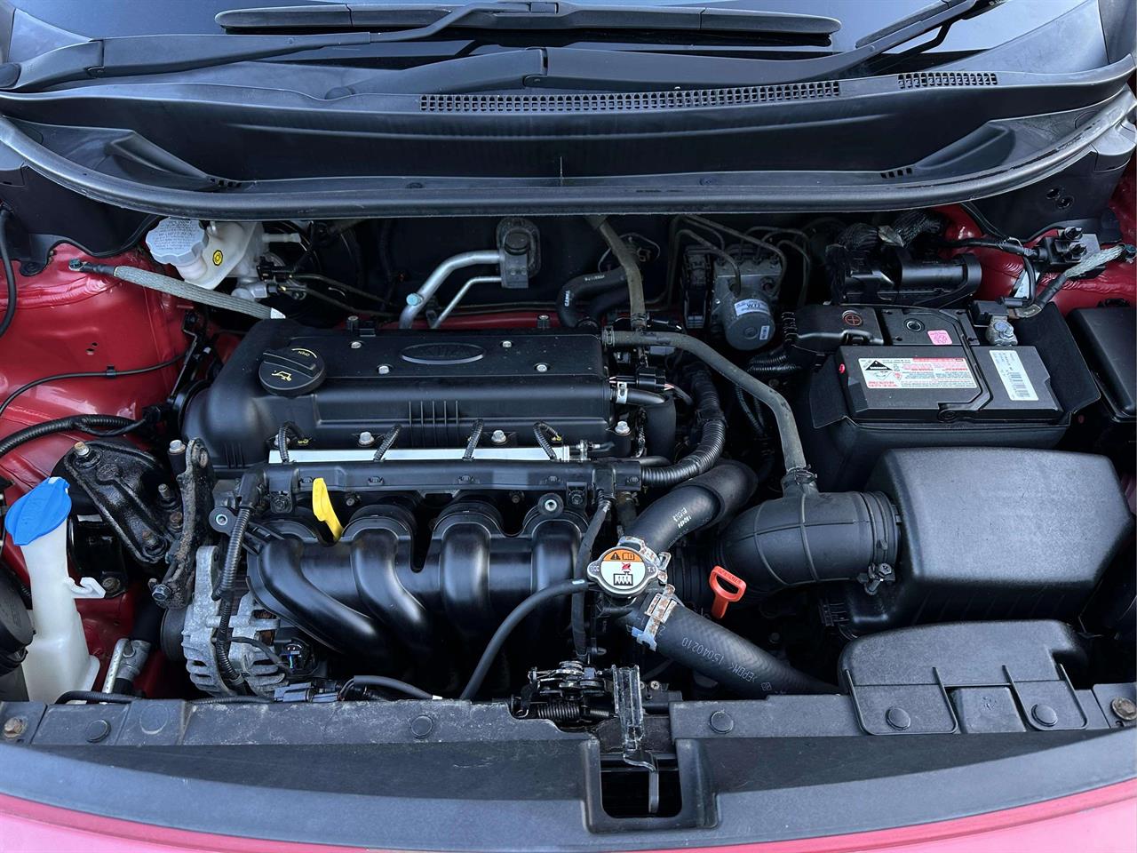 2015 Kia Rio