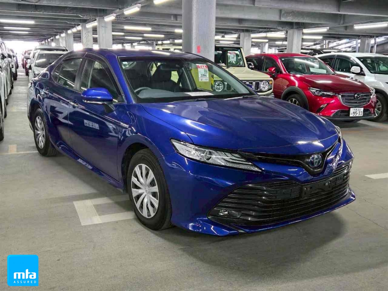 2019 Toyota Camry