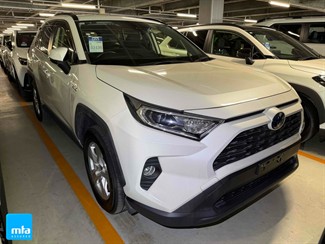 2019 Toyota RAV4 - Thumbnail