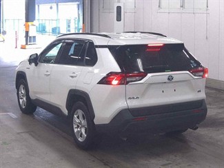 2019 Toyota RAV4 - Thumbnail