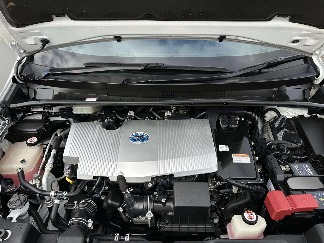 2019 Toyota Prius