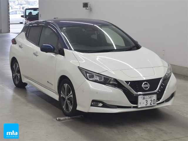 2018 Nissan Leaf