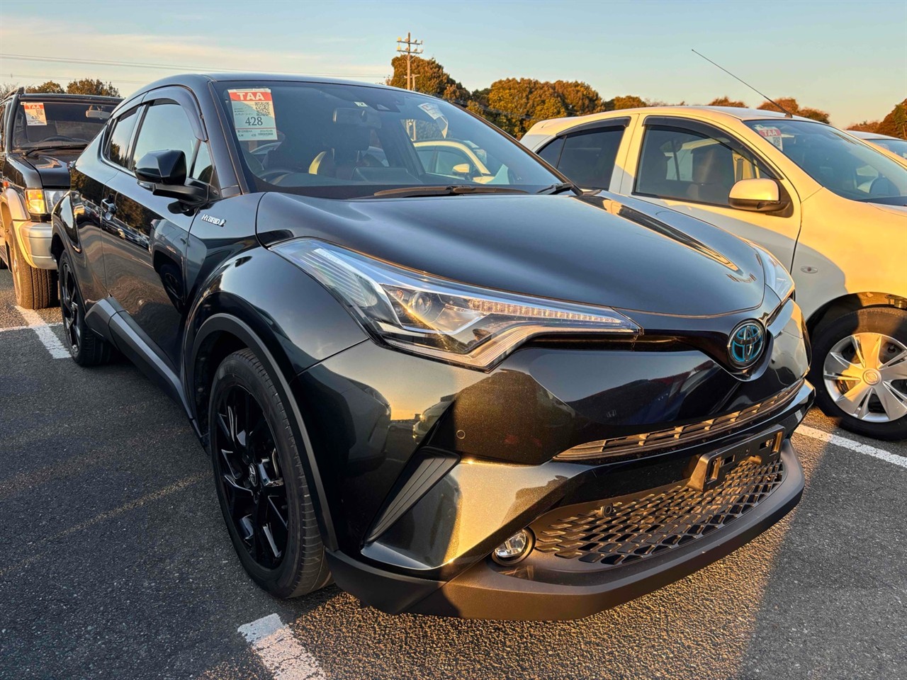 2019 Toyota C-HR